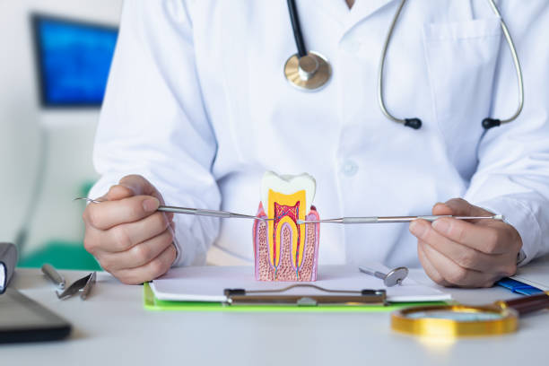 Best Cosmetic Emergency Dentistry in Langhorne, PA
